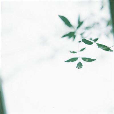 再战沙城无限元宝版下载