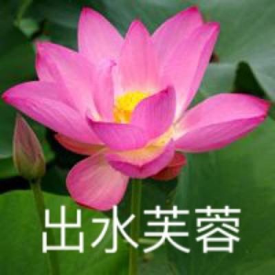 covens手机版下载