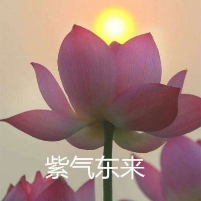 复古一刀流官方